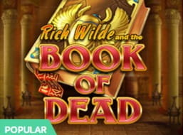 The Book of Dead slot from Play'n GO