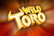 Preview of Wild Toro slot