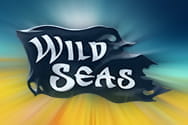 Preview of Wild Seas slot