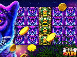Black Leopard Free Vegas Slot in the USA