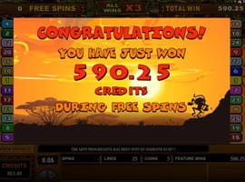 A Big Win in Mega Moolah Slot