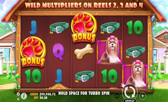 The Dog House Megaways Slot
