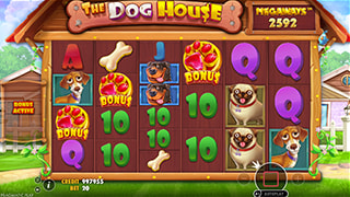 The Dog House Megaways Bonus