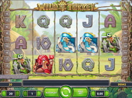 Wild Turkey Slot Free Online Version for Hungary