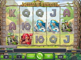 Wild Turkey Free Slot Machine in Nigeria