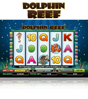 Dolphin reef game