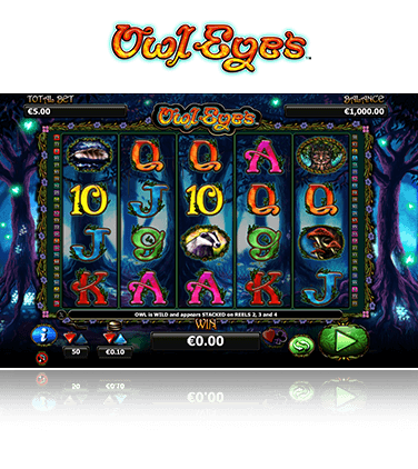 Owl Eyes Game